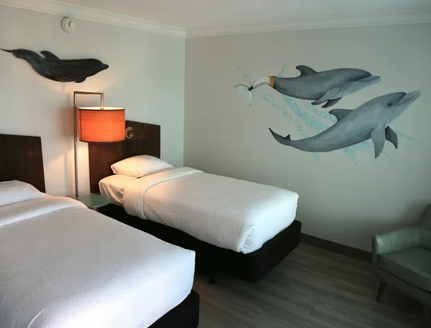 Dolphin Sands Clearwater Beach, an Ascend Collection Hotel hotel detail image 4