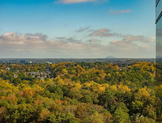 JW Marriott Atlanta Buckhead hotel detail image 4