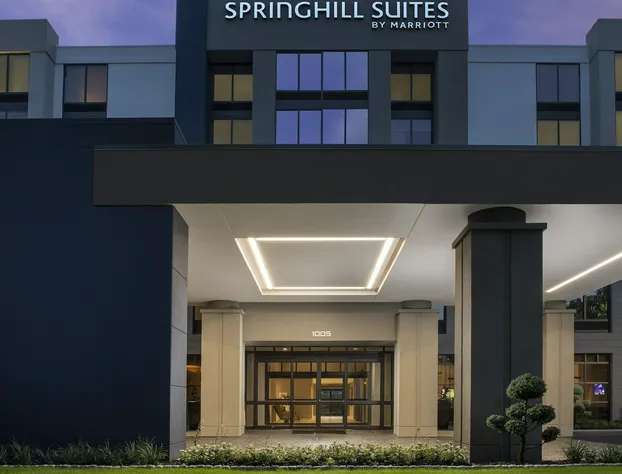 SpringHill Suites by Marriott Atlanta Perimeter Center hotel detail image 1