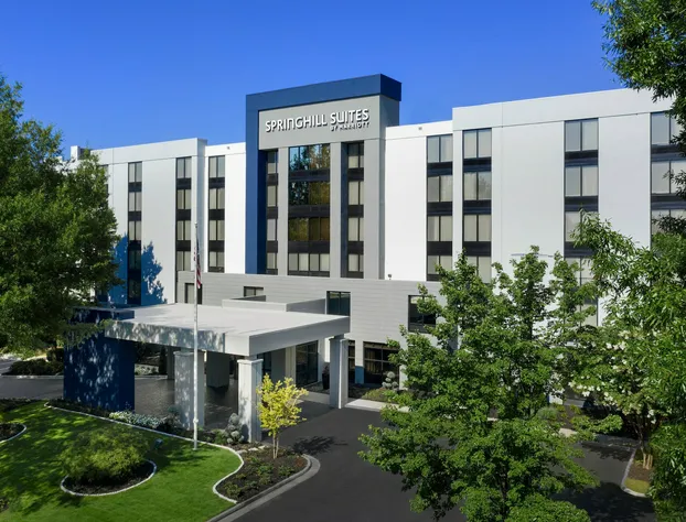 SpringHill Suites by Marriott Atlanta Perimeter Center hotel detail image 3