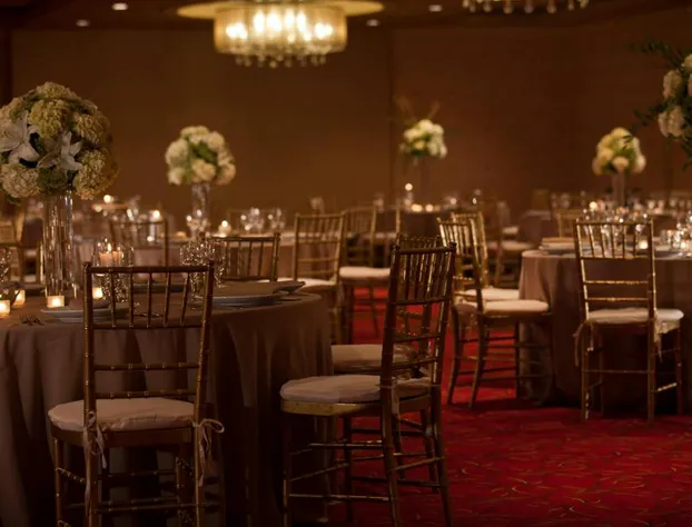 Renaissance Newark Airport Hotel hotel detail image 1