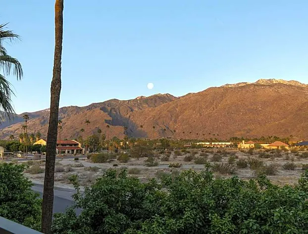 Courtyard By Marriott Palm Springs hotel detail image 1