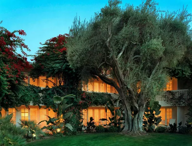 Parker Palm Springs hotel detail image 1