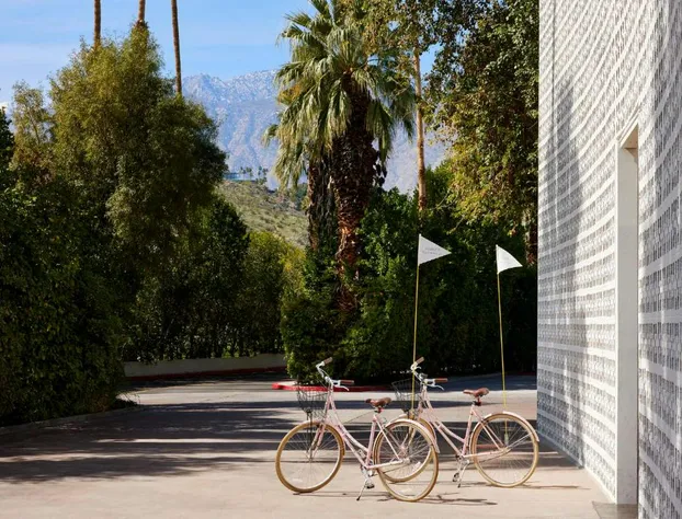 Parker Palm Springs hotel detail image 4