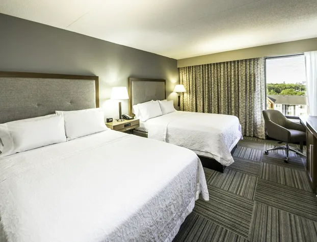 Hampton Inn By Hilton Philadelphia-International Airport hotel detail image 4