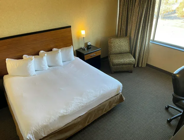 Quality Hotel Philadelphia Airport hotel detail image 2