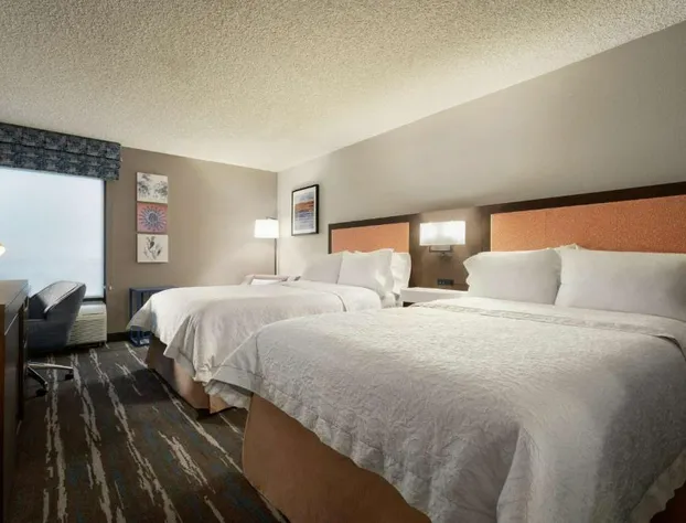 Hampton Inn Phoenix/Chandler hotel detail image 4