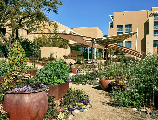 JW Marriott Phoenix Desert Ridge Resort & Spa hotel detail image 3