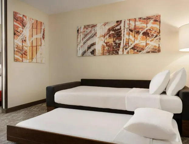 SpringHill Suites by Marriott Phoenix Chandler/Fashion Center hotel detail image 4