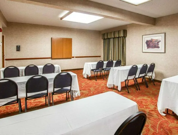 Comfort Inn I-10 West at 51st Ave hotel detail image 3