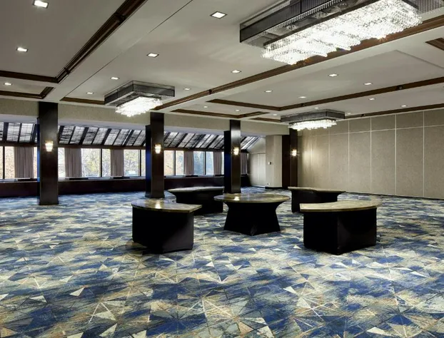 Sheraton Montreal Airport Hotel hotel detail image 2