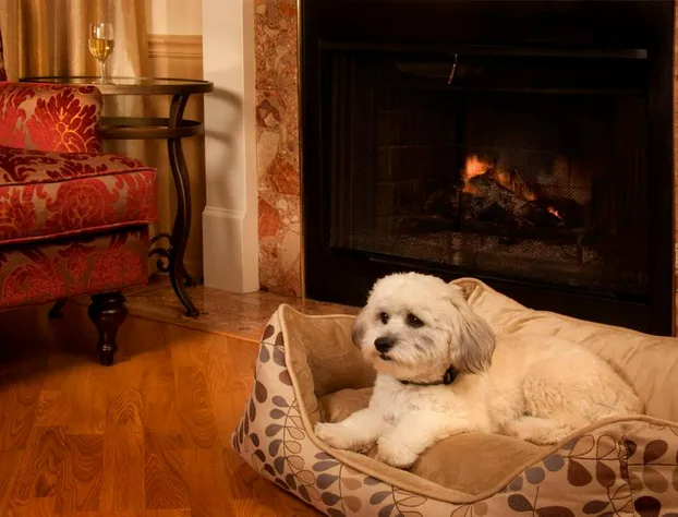 Victorian Inn hotel detail image 2