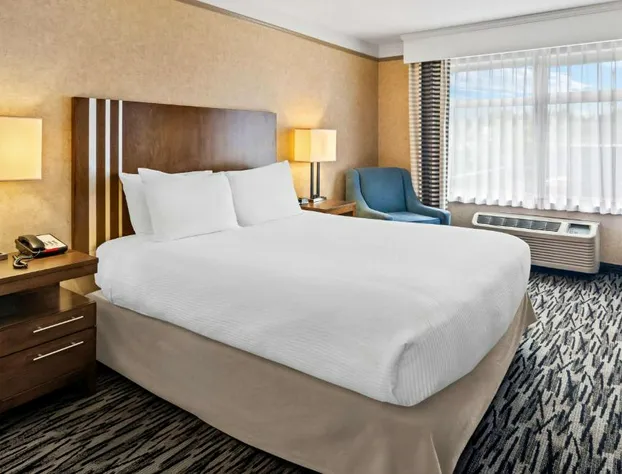 Best Western Plus Pitt Meadows Inn & Suites hotel detail image 4