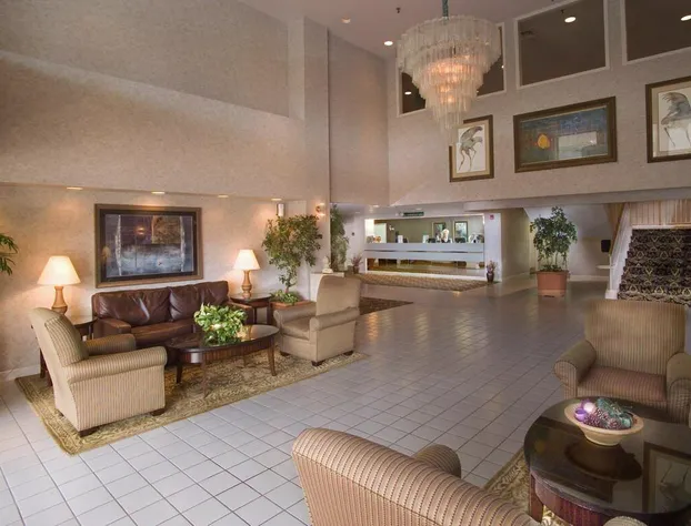 Luxe Studios Nashville Opryland hotel detail image 1