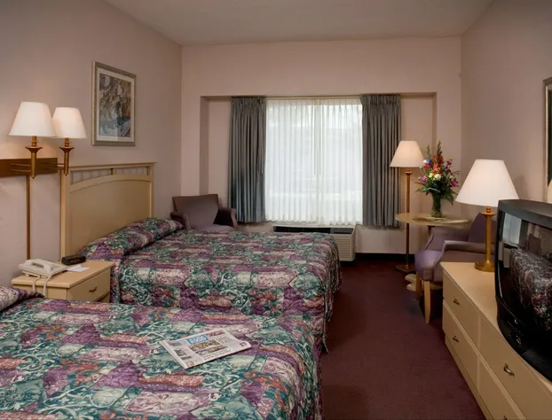 Luxe Studios Nashville Opryland hotel detail image 4