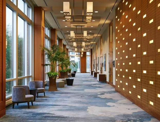 The Westin Virginia Beach Town Center hotel detail image 3