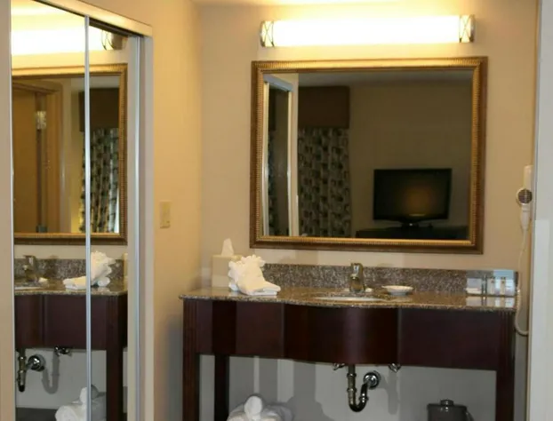 Hampton Inn & Suites Savannah-Airport hotel detail image 4