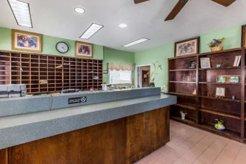 Suburban Studios Abercorn hotel detail image 2