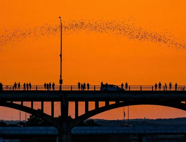 Hyatt Regency Austin hotel detail image 3