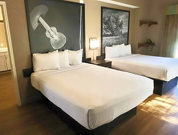 Super 8 by Wyndham Austin South / I-35 hotel detail image 2