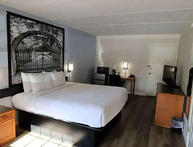 Super 8 by Wyndham Austin South / I-35 hotel detail image 4