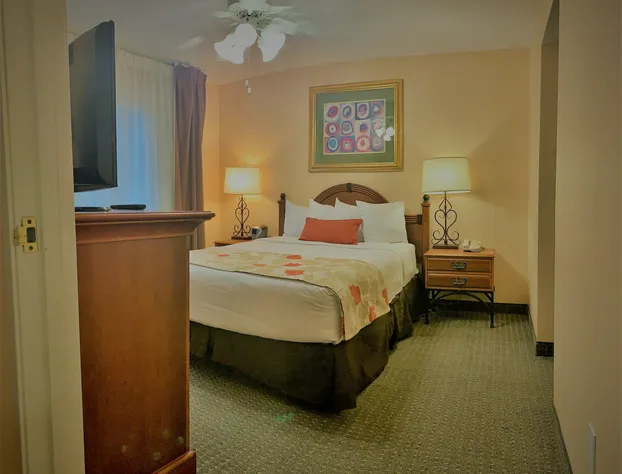 Hawthorn Suites by Wyndham Dallas Park Central hotel detail image 3