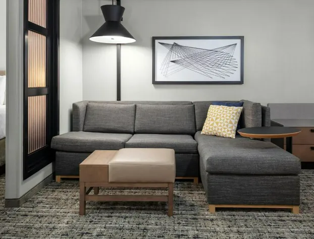 Hyatt Place Dallas/Arlington hotel detail image 4