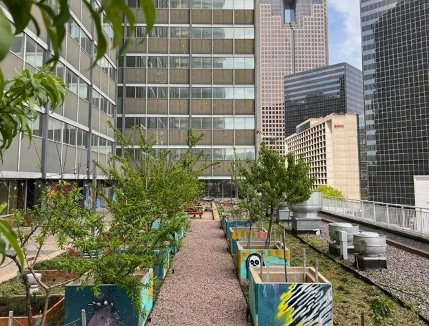 Sheraton Dallas Hotel hotel detail image 1