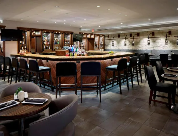 Marriott DFW Airport South hotel detail image 2