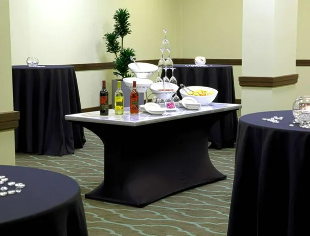 Embassy Suites by Hilton Dallas Market Center hotel detail image 2