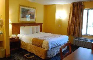 Americas Best Value Inn Addison Dallas hotel detail image 3