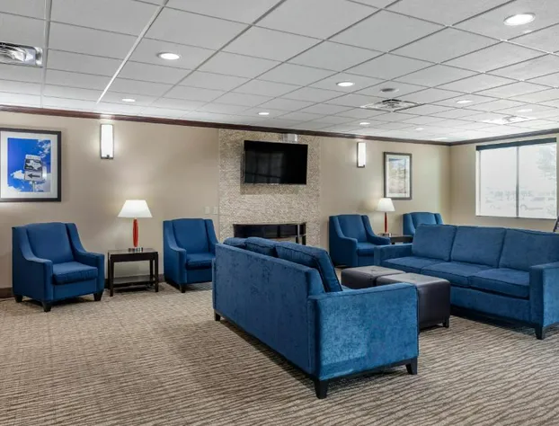 Comfort Suites Plano - Dallas North hotel detail image 4