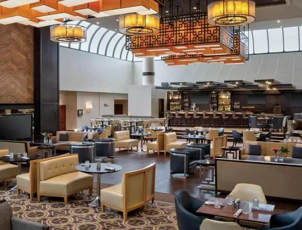 Sheraton DFW Airport Hotel hotel detail image 4