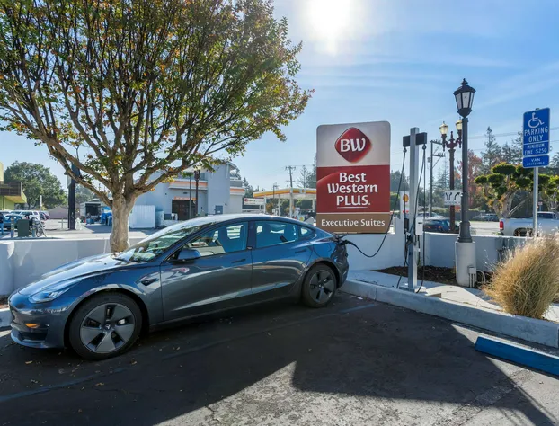 Best Western Plus Executive Suites hotel detail image 2