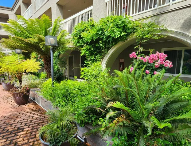 La Quinta Inn & Suites by Wyndham San Francisco Airport West hotel detail image 1