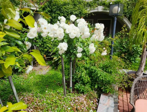 La Quinta Inn & Suites by Wyndham San Francisco Airport West hotel detail image 2