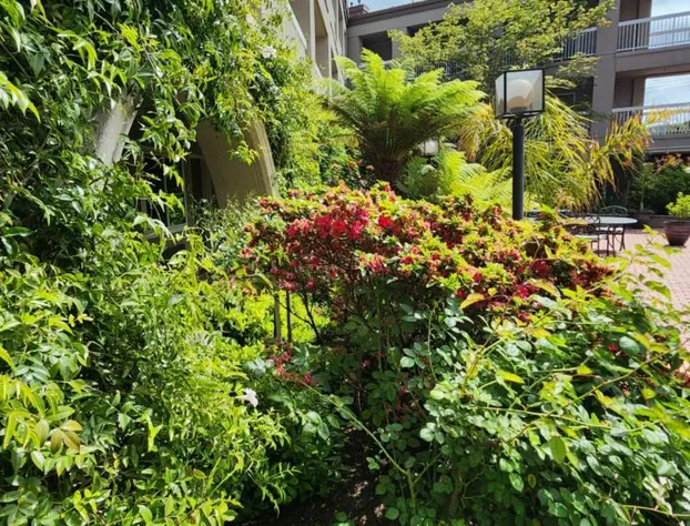 La Quinta Inn & Suites by Wyndham San Francisco Airport West hotel detail image 4