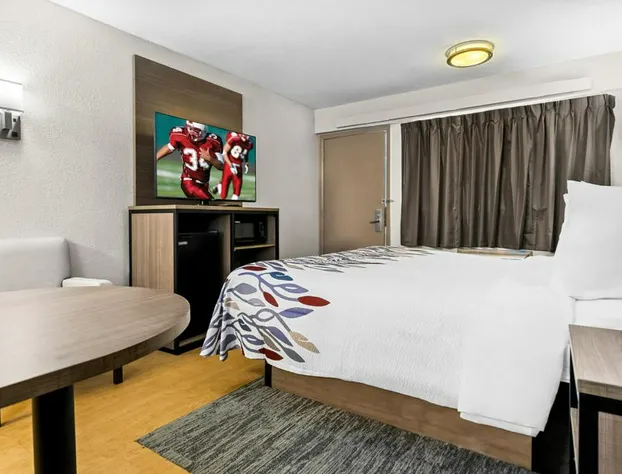 Red Roof Inn Tampa Fairgrounds – Casino hotel detail image 3