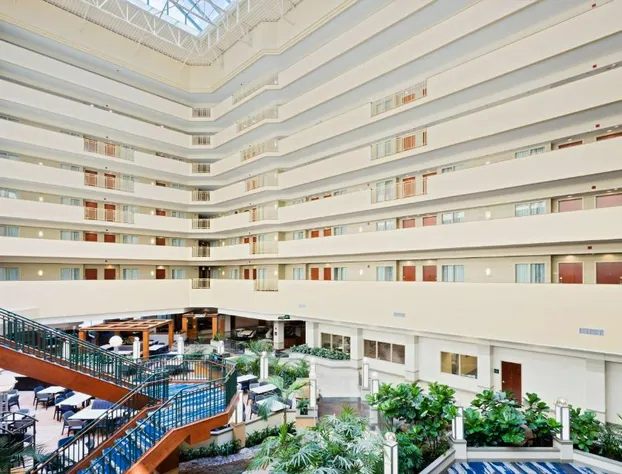 Embassy Suites by Hilton Tampa USF Near Busch Gardens hotel detail image 1