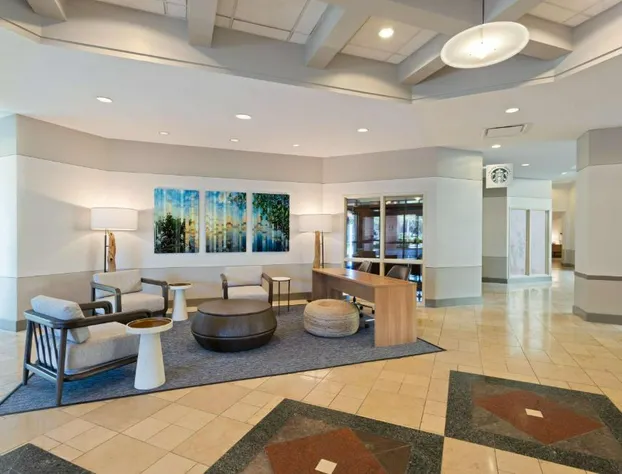 Embassy Suites by Hilton Tampa USF Near Busch Gardens hotel detail image 3