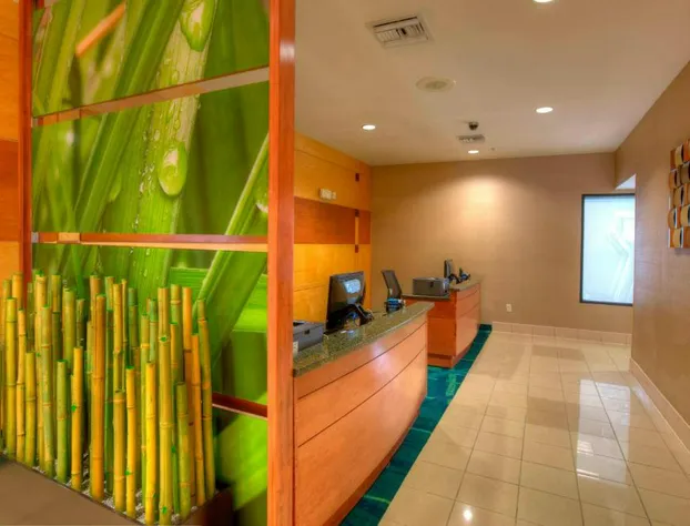 Springhill Suites by Marriott Tampa Brandon hotel detail image 3