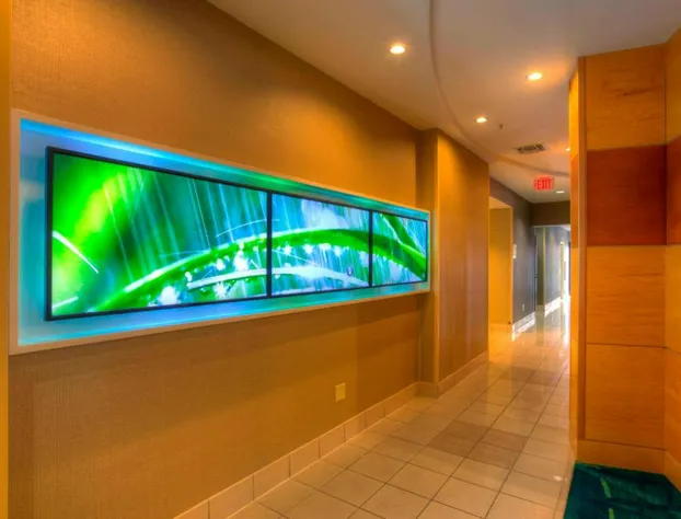 Springhill Suites by Marriott Tampa Brandon hotel detail image 4