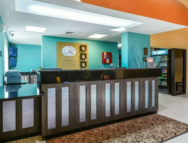 Comfort Suites Tampa - Brandon hotel detail image 4