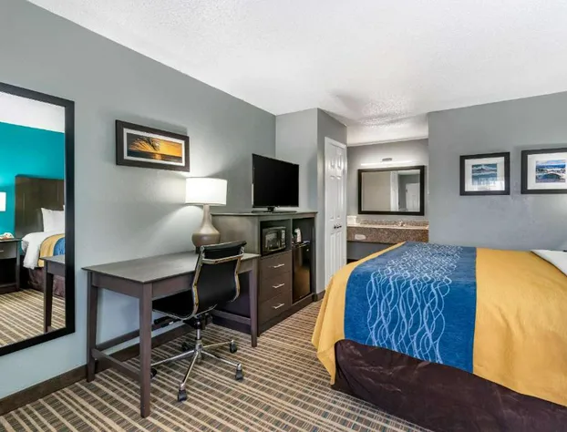 Comfort Inn Sun City Center - Ruskin - Tampa South hotel detail image 4