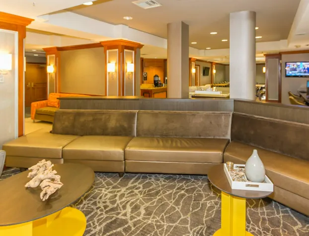 SpringHill Suites by Marriott Tampa Westshore Airport hotel detail image 1