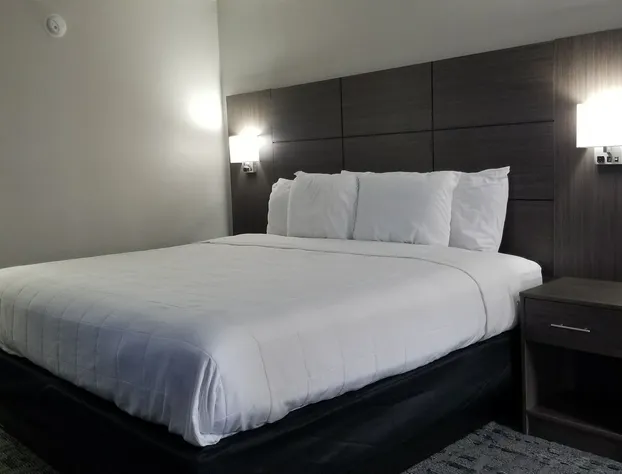 Days Inn & Suites by Wyndham Charleston Airport West hotel detail image 4