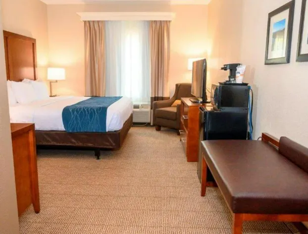 Comfort Inn & Suites Patriots Point hotel detail image 4