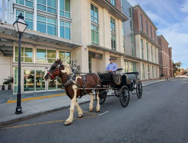 Live Oak, Charleston Historic District, a Tribute Portfolio Hotel hotel detail image 1
