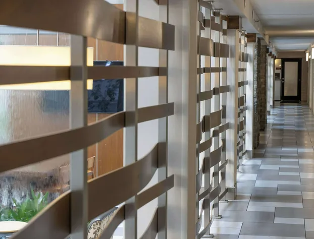 Embassy Suites Bloomington Edina hotel detail image 4