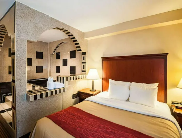 Comfort Inn Towson - Baltimore North hotel detail image 4